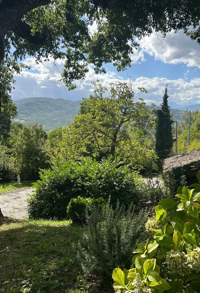Vista Antico Mulino